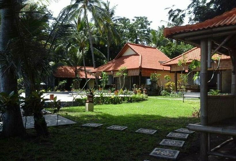 디럭스 룸 바다 전망, Alam Mimpi Bali