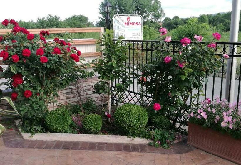 Номер Стандарт, Family Hotel Mimosa