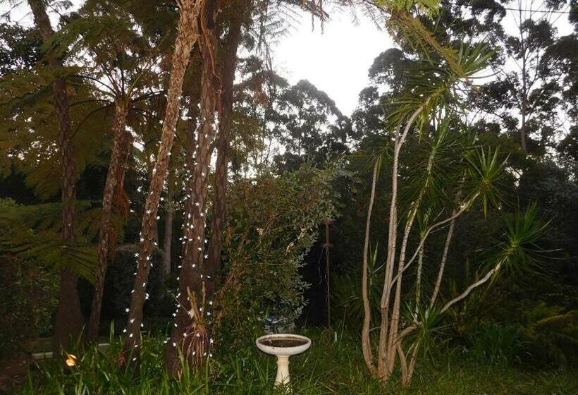 패밀리 룸, Edge Of The Forest Motel
