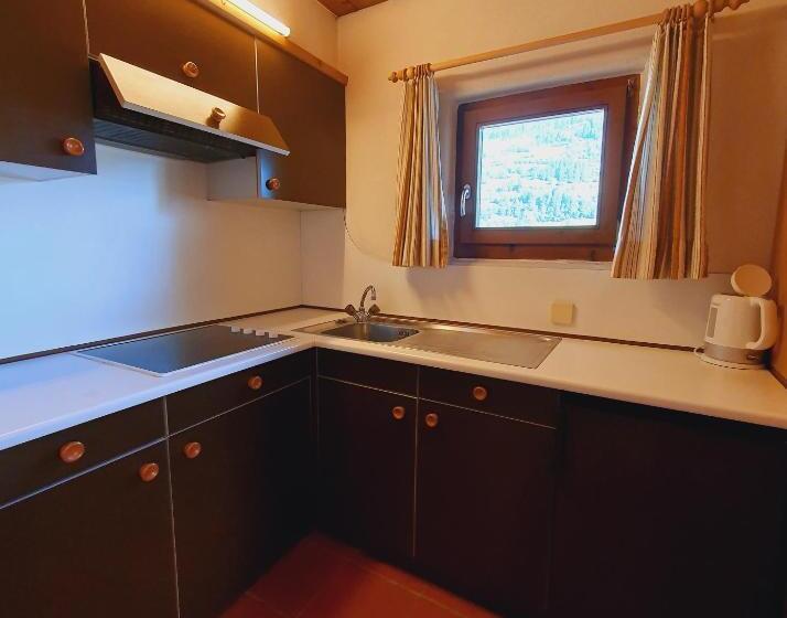 Апартаменты 1 Спальня с Балконом, Residence Silvester
