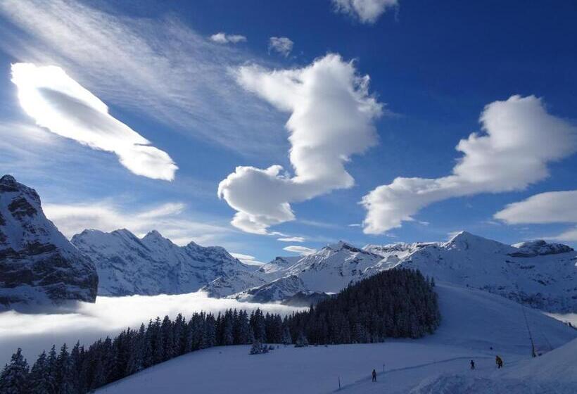 Номер Superior Кровать Кинг, Chalet Alpina Gyger