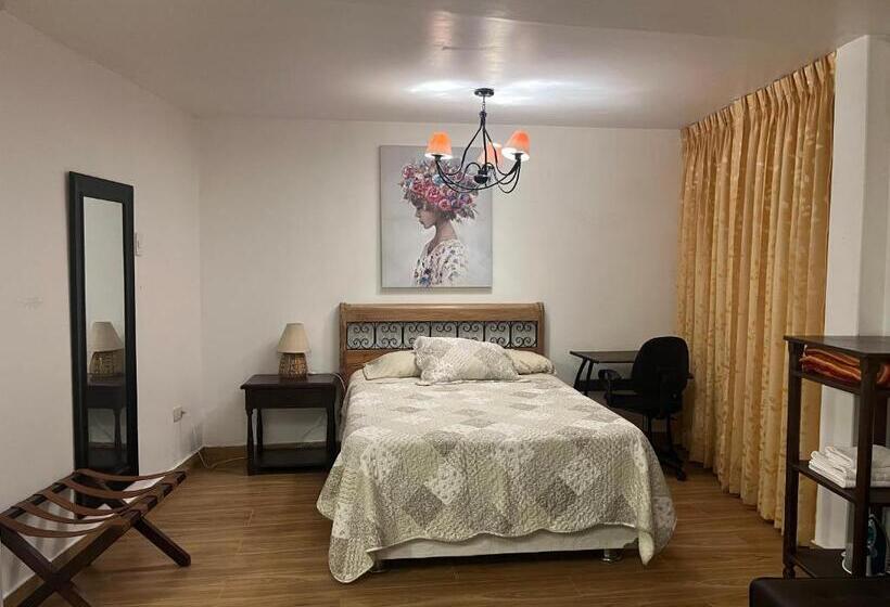 اتاق استاندارد, Mini Departamentos Miramar
