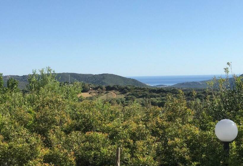 Номер Стандарт, Belvedere