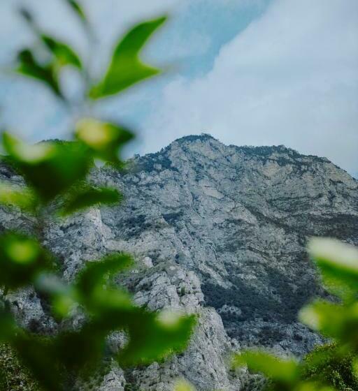اتاق استاندارد یک نفره, Limone