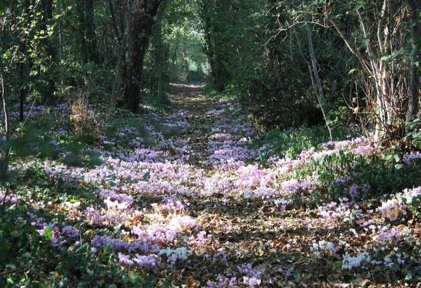 Трехместный Номер Стандарт Вид на Сад, La Petite Londe