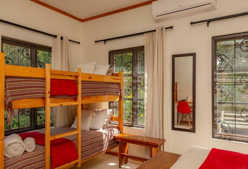اتاق استاندارد چهار تخته, 10 Alexander B&b