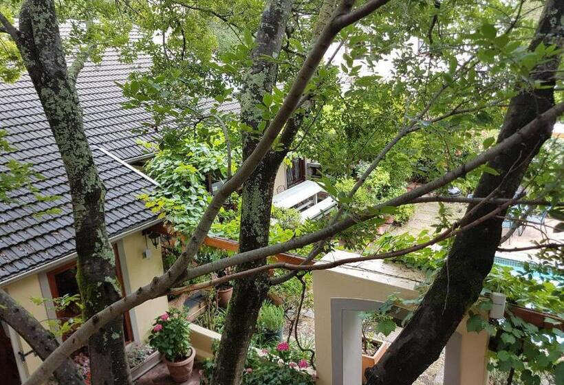 اتاق استاندارد, 10 Alexander B&b