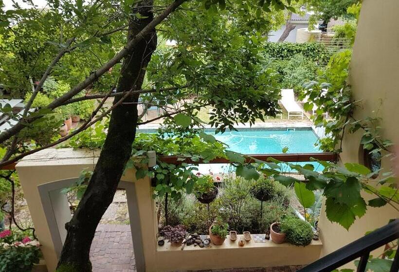 اتاق استاندارد, 10 Alexander B&b