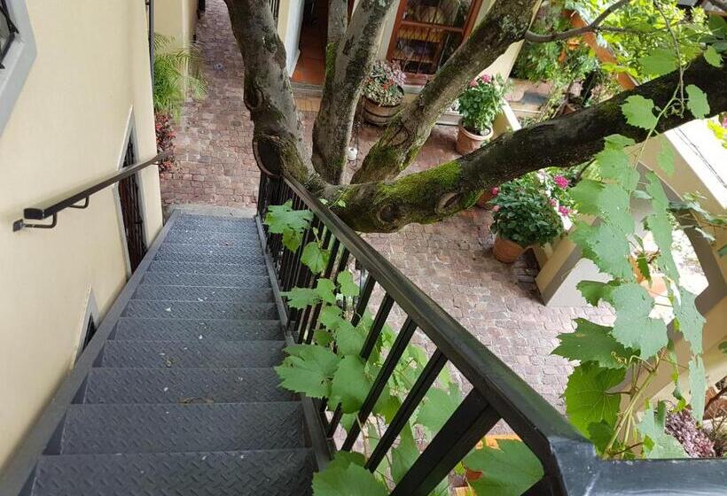 اتاق استاندارد سه نفره, 10 Alexander B&b