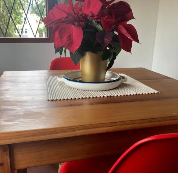 آپارتمان 1 خوابه با چشم‌انداز, 10 Alexander B&b