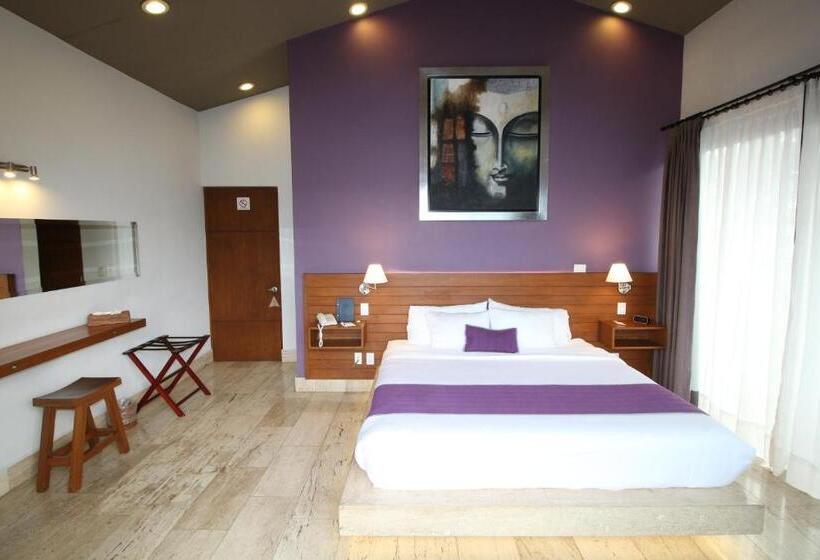 سوییت اجرایی, Araucaria Hotel Boutique