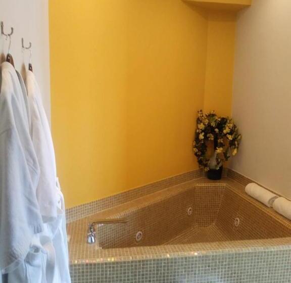 سوئیت پرزیدنت, Araucaria Hotel Boutique