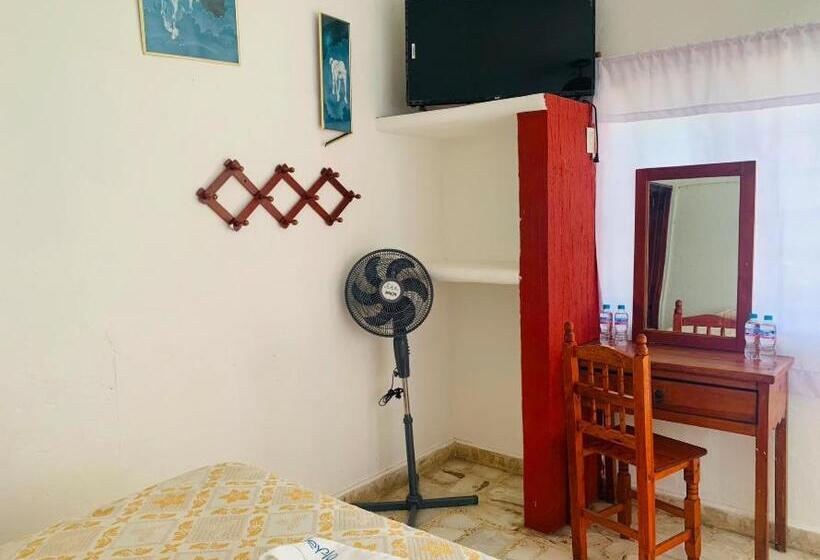 四人标准间, Puerto Villamar