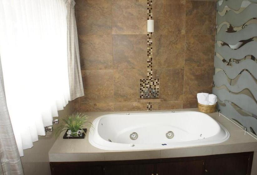 דירת שני חדרים, Suites Teziutlan