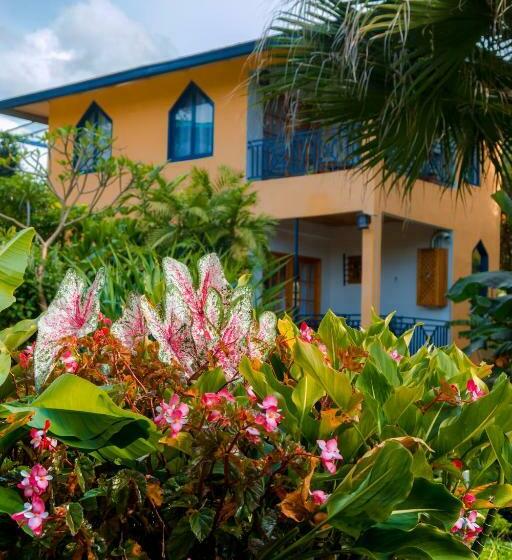 Апартаменты Superior 1 Спальня, Isla Verde