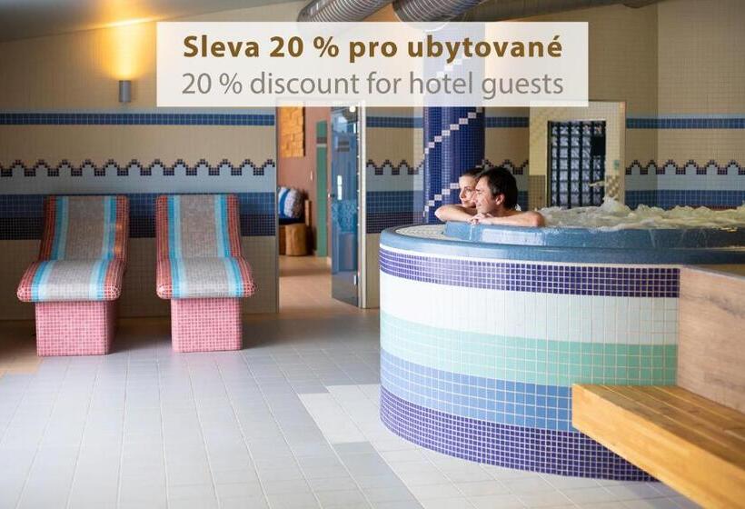 스탠다드 룸, Amenity Hotel & Resort Lipno