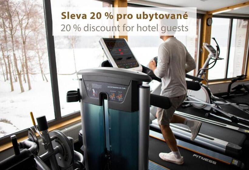 침실 1개 아파트, Amenity Hotel & Resort Lipno