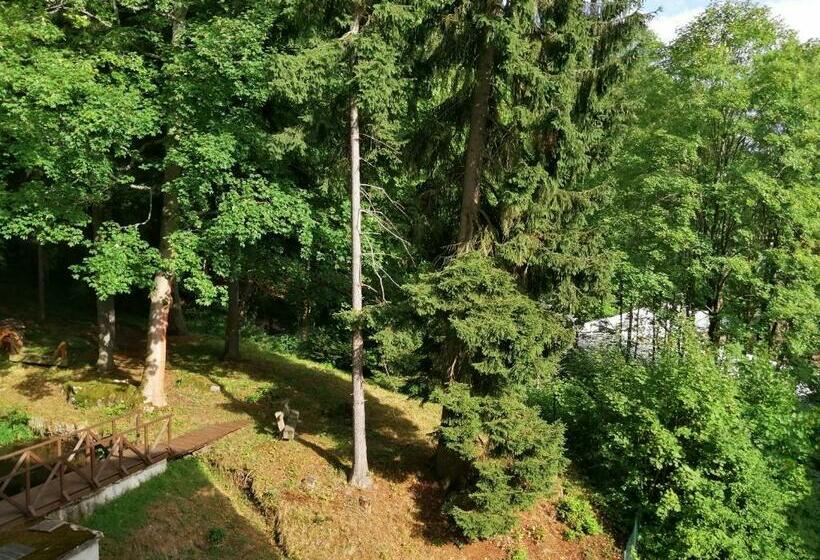 スタンダードルーム, Parkhotel Forest