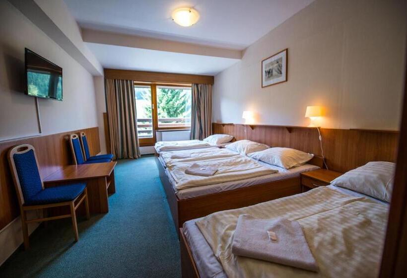 발코니가 있는 4인용 스탠다드 룸, Parkhotel Harrachov