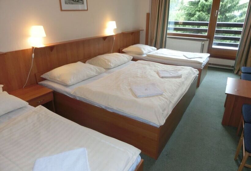 4인용 스탠다드 룸, Parkhotel Harrachov