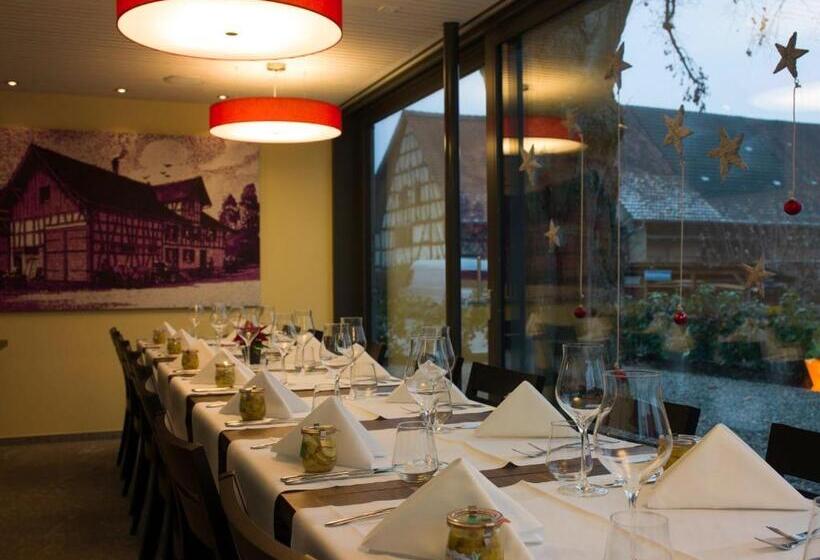 Студия Superior, Gasthaus Sternen