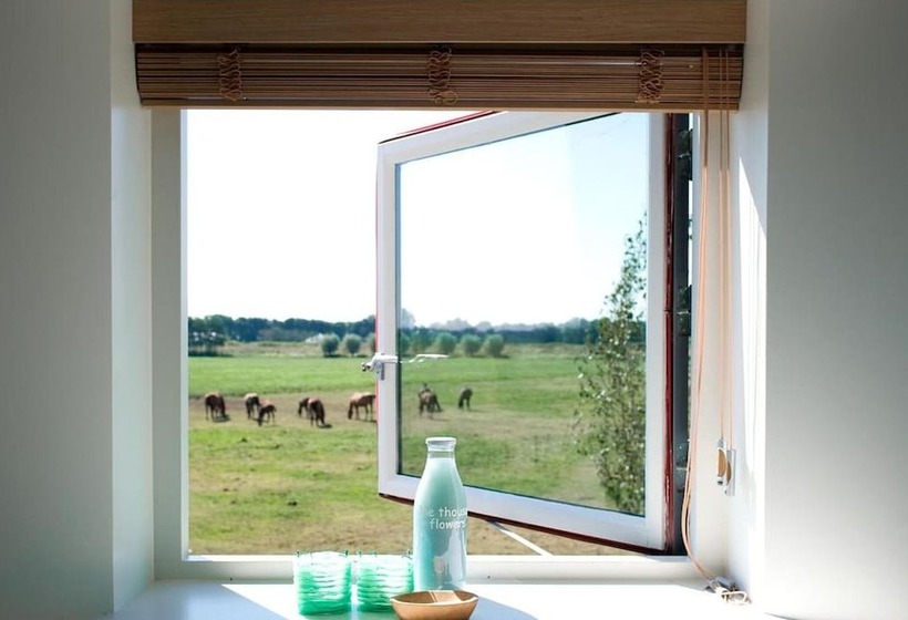 Люкс, Boutique Hotel Villa Oldenhoff