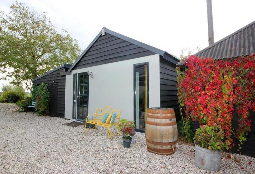 شقة غرفة واحدة, Bed & Breakfast De Ruige Weide