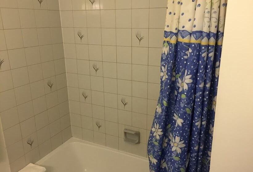 Номер Стандарт 2 Двуспальные Кровати, Motel St Thomas