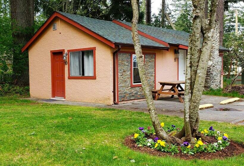 Студия Стандарт, Malahat Bungalows Motel