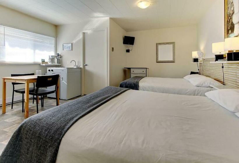 스탠다드 룸 더블 침대 2개, Motel Appartements Le Saint Patrick