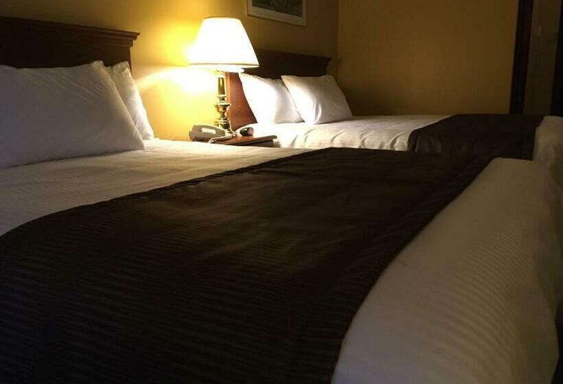 Номер Superior, Motel Cofotel