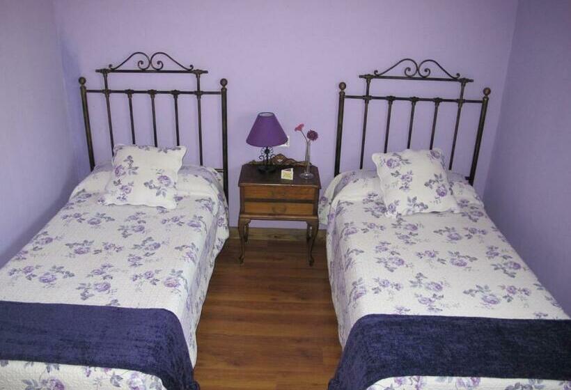Номер Стандарт, Albergue San Pelayo