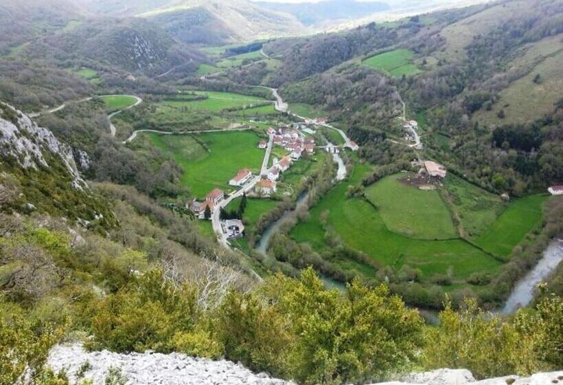 Номер Стандарт, Rural Aribe Irati