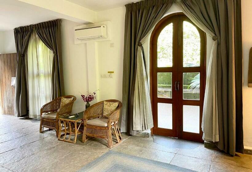 استودیوی استاندارد, Casa Da Praia