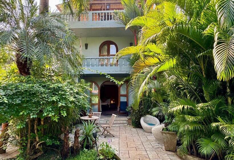 Студия Стандарт, Casa Da Praia