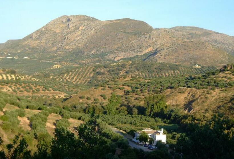 Номер Superior, Casa Olea Hotel Rural