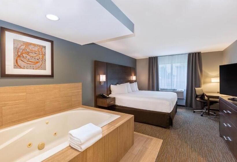 高级套房, Wingate By Wyndham Wisconsin Dells Waterpark