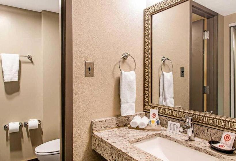 장애인을 위한 스탠다드 룸, Comfort Inn Largo Washington Dc East