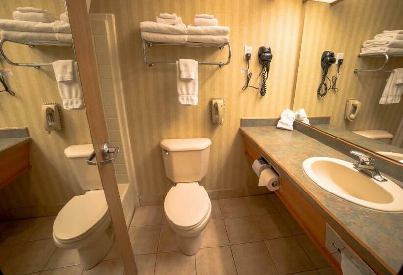 Стандартный Номер Кровать Кинг, Surestay Plus By Best Western Enterprise