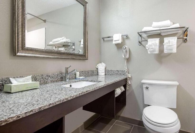 带大床的豪华间, Quality Inn & Suites Brownsburg   Indianapolis West