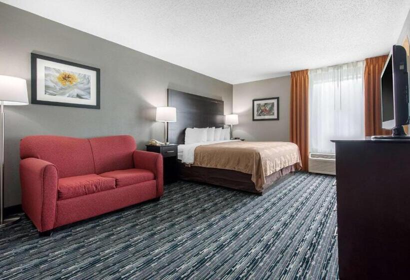 带大床的套房, Quality Inn & Suites Brownsburg   Indianapolis West