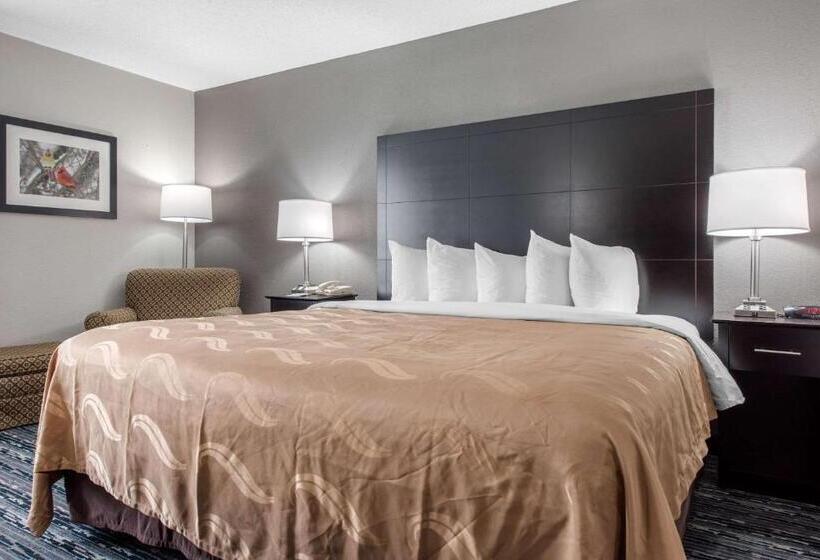 适合残疾人士使用的带超级大床的标准间, Quality Inn & Suites Brownsburg   Indianapolis West