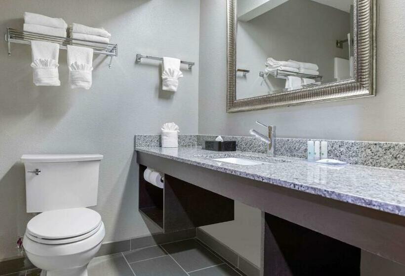 带2个双人床的标准工作室, Quality Inn & Suites Brownsburg   Indianapolis West