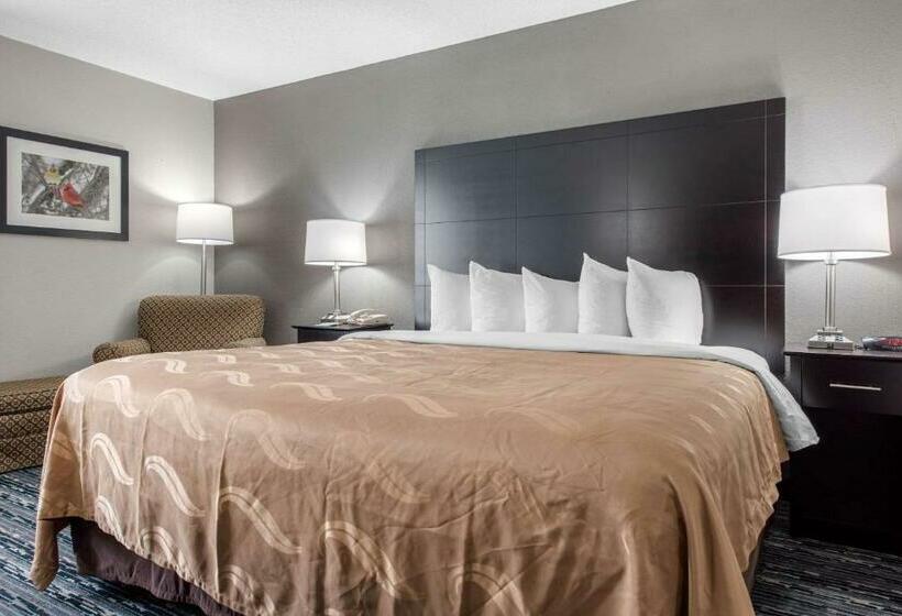 带大床的豪华间, Quality Inn & Suites Brownsburg   Indianapolis West