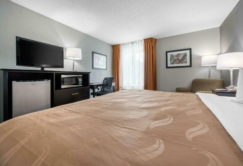 带大床的标准间, Quality Inn & Suites Brownsburg   Indianapolis West