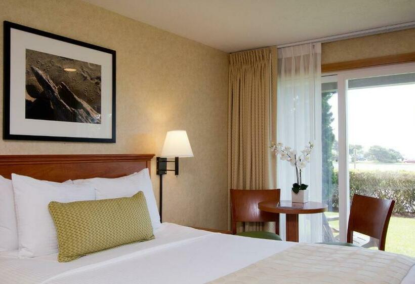 Студия Стандарт, The Wayside Inn