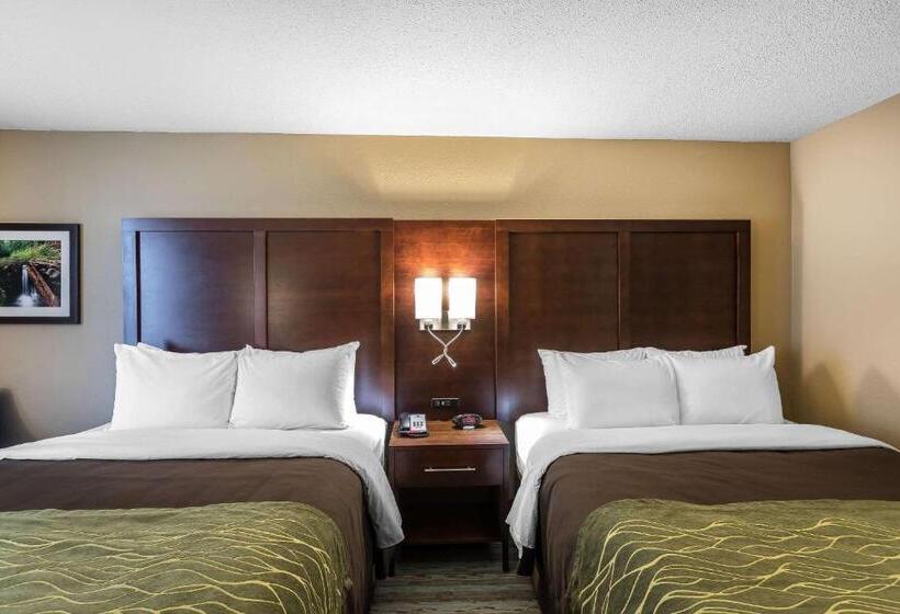 스탠다드 룸 강 전망, Comfort Inn Bay City  Riverfront