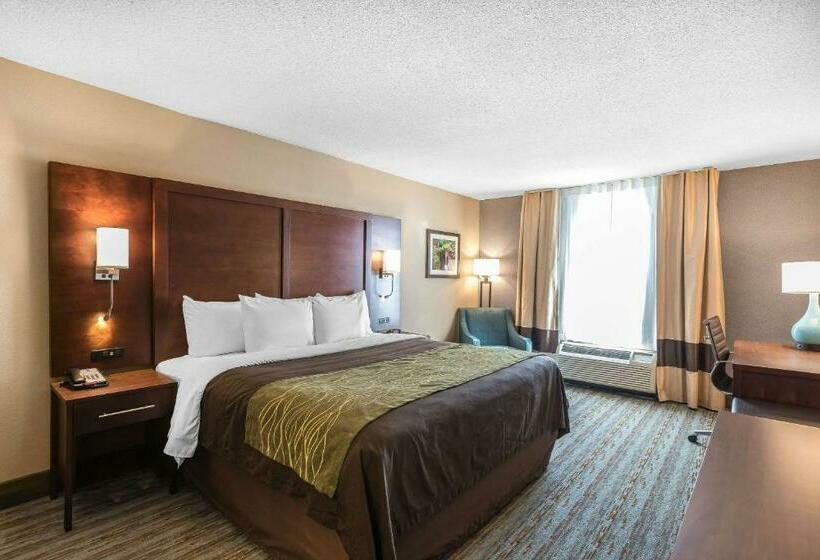 스탠다드 룸 킹사이즈 침대, Comfort Inn Bay City  Riverfront