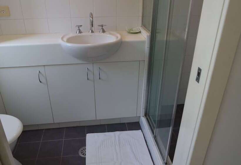 Студия Deluxe, Cityview Studio Accommodation