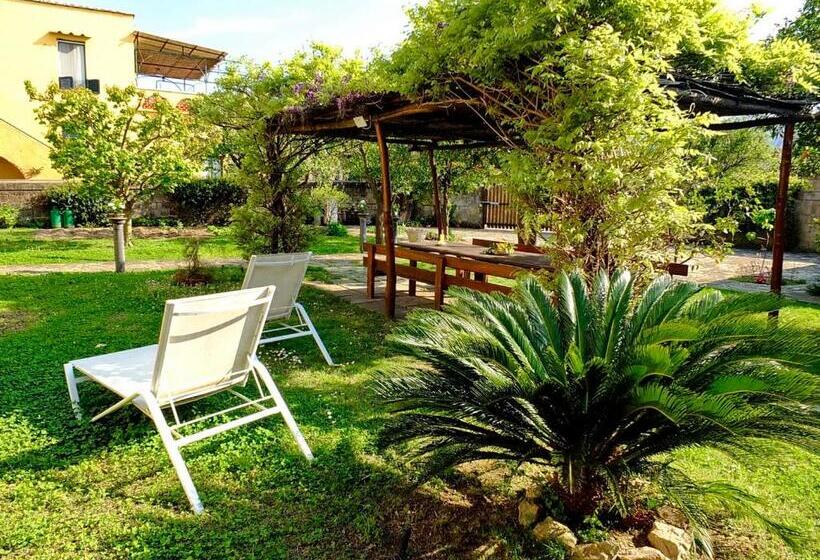 古典房间, B&b Villa Elisa